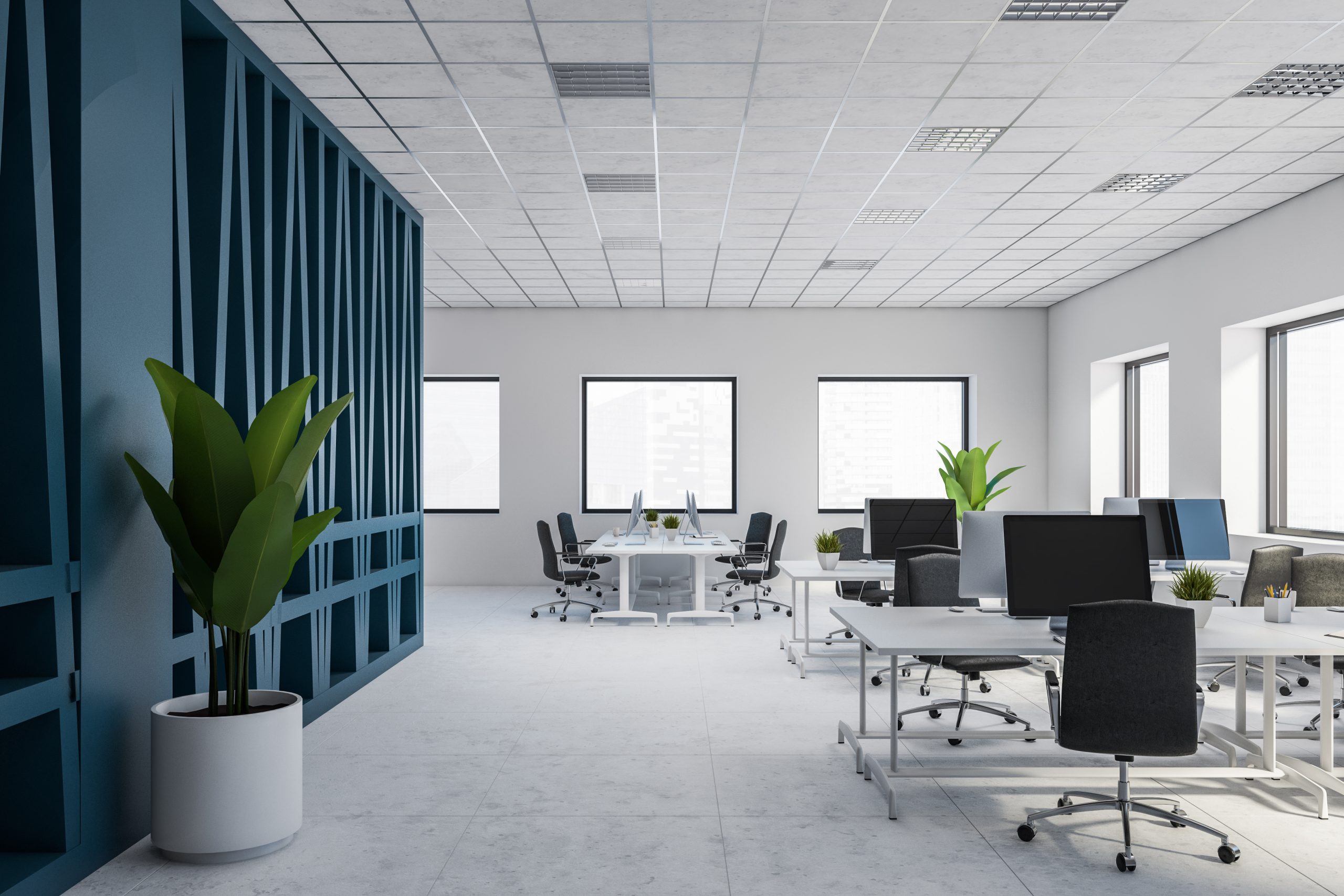Office_Space-scaled.jpeg